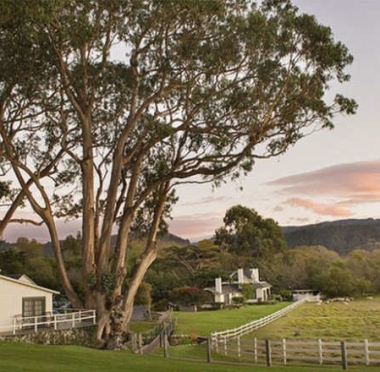 lusailnews