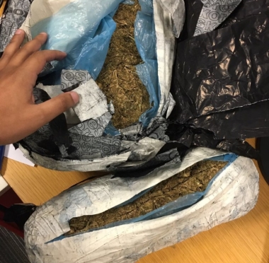 lusailnews