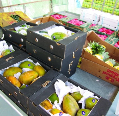 lusailnews