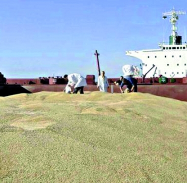 lusailnews