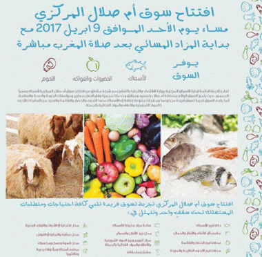 lusailnews