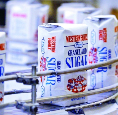 lusailnews