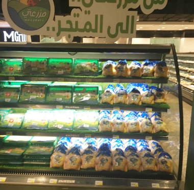 lusailnews