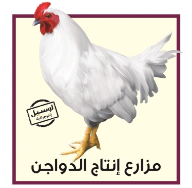 lusailnews