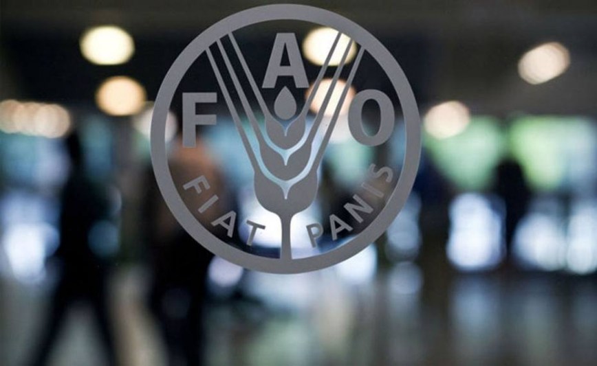 منظمة "فاو": أسعار الغذاء العالمية تنخفض إلى أدنى مستوياتها منذ عامين في مايو الماضي