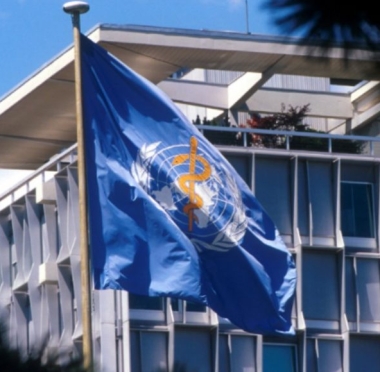 lusailnews