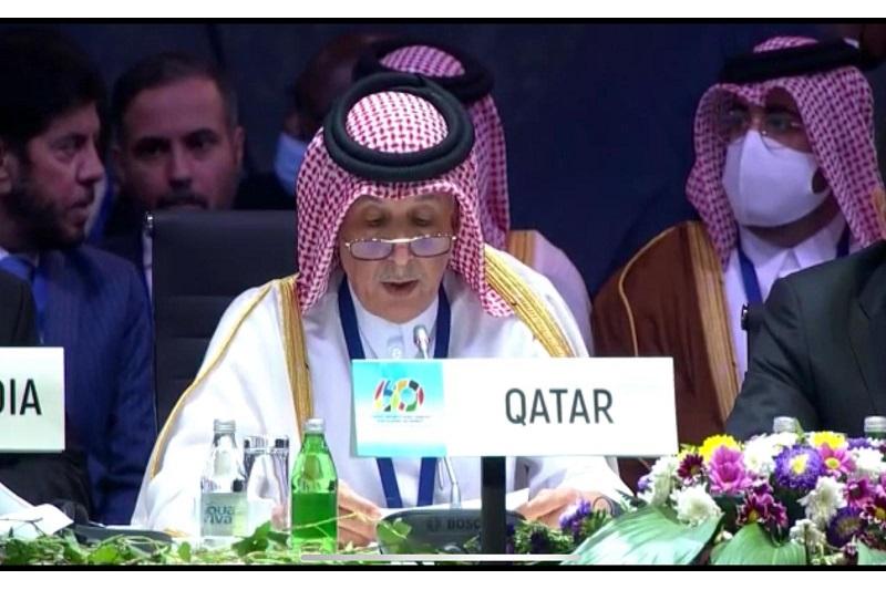 قطر تؤكد حرصها على أن تكون عضوا فاعلا في حركة عدم الانحياز