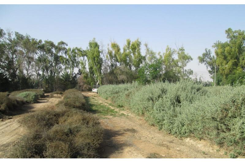 سجلات رسمية: 52 موقعاً لرصد التربة في 65 ألف هكتار قابلة للزراعة بالدولة