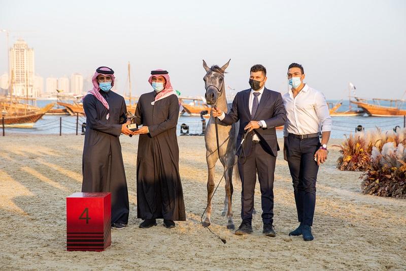 قطر للتأمين راعٍ بلاتيني لمهرجان كتارا للخيل العربية