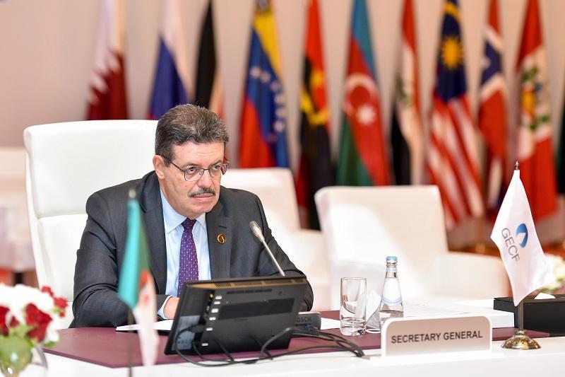 الأمين العام للمنتدى: الطلب على الغاز الطبيعي نما بنحو 23% منذ 2011