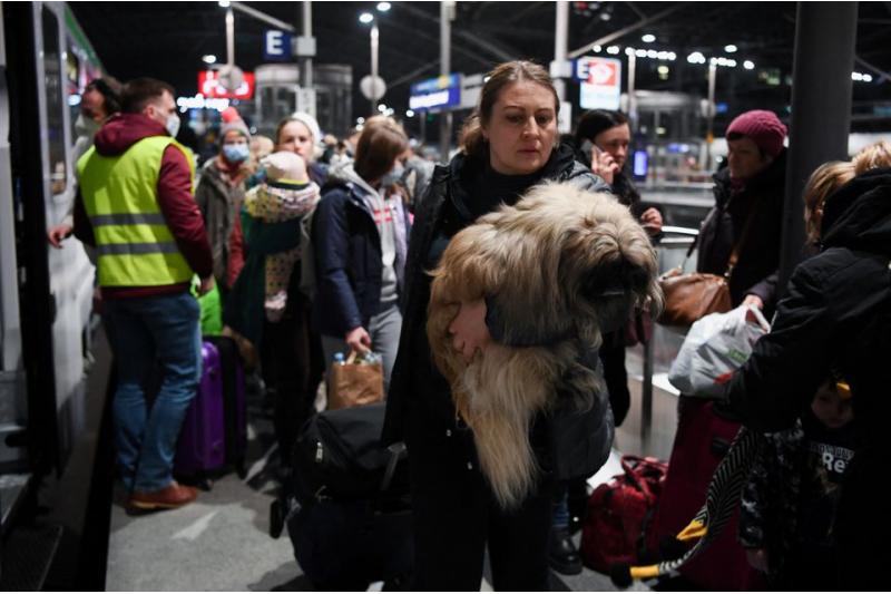 المنظمة الدولية للهجرة: فرار أكثر من 2.3 مليون شخص من أوكرانيا