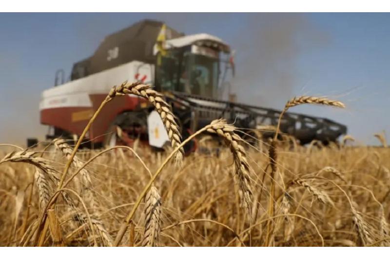 أوكرانيا تستكمل غرس بذور ثلث محصول ربيع 2022