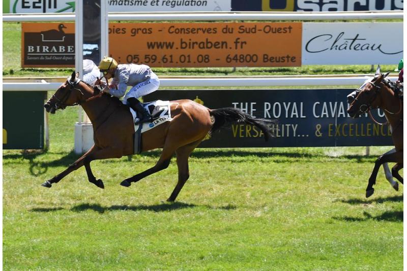 المهرة "مزون" ملك الشقب ريسنغ تضاعف رصيدها بانتصار من الفئة الثالثة بمضمار لاتيست بفرنسا