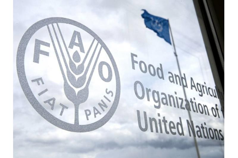 "فاو" تدعو لإجراءات عاجلة لمساعدة المجتمعات الريفية بالعراق لمواجهة تغيرات المناخ ونقص المياه