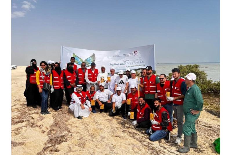 زراعة 300 شتلة من أشجار القرم في محمية الذخيرة