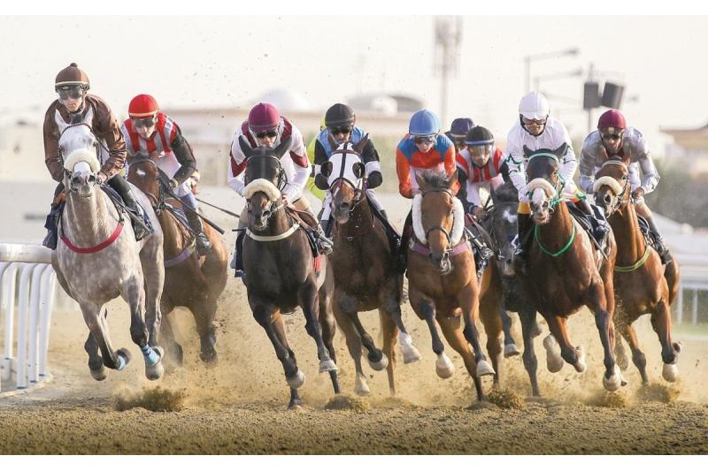 غدا انطلاق سباقات الخيل في الموسم 2022 - 2023