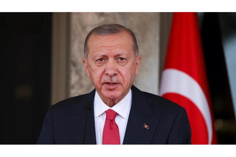 الرئيس التركي: نأمل إرساء السلام بين روسيا وأوكرانيا