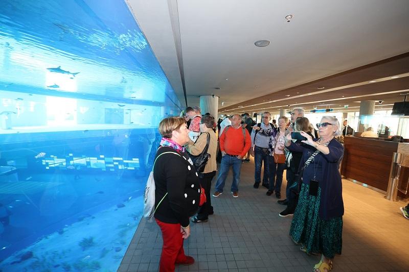 ميناء الدوحة يستقبل 3278 زائرا في أولى رحلات السفينة "ماين شيف 6" إلى قطر