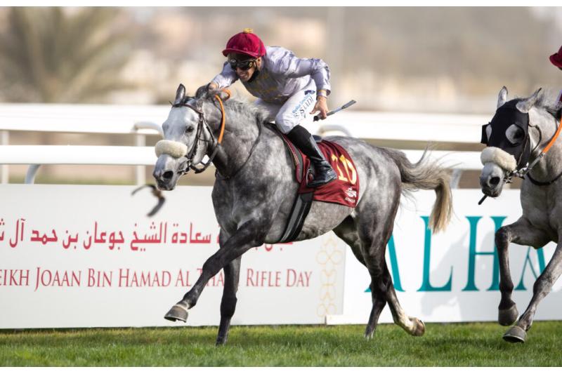 غدا.. سباق الخيل على بندقية وجوائز الشيخ جوعان بن حمد