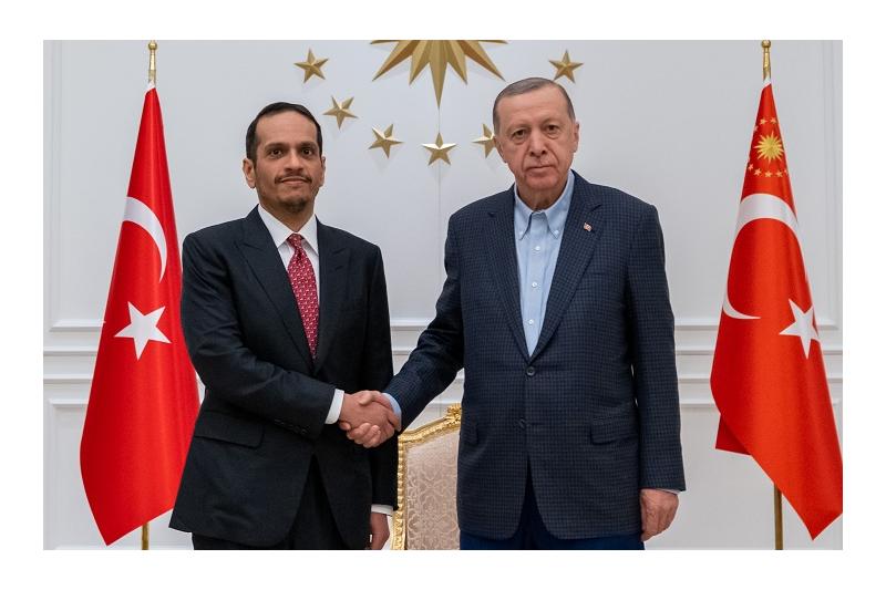 الرئيس التركي يستقبل نائب رئيس مجلس الوزراء وزير الخارجية
