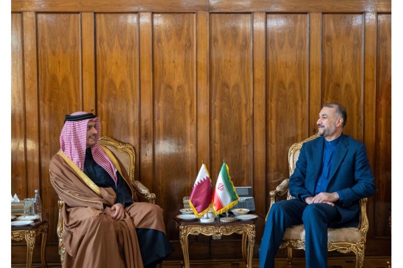 نائب رئيس مجلس الوزراء وزير الخارجية يجتمع مع وزير الخارجية الإيراني