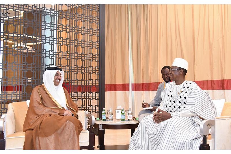 رئيس وزراء مالي يجتمع مع وزير العمل