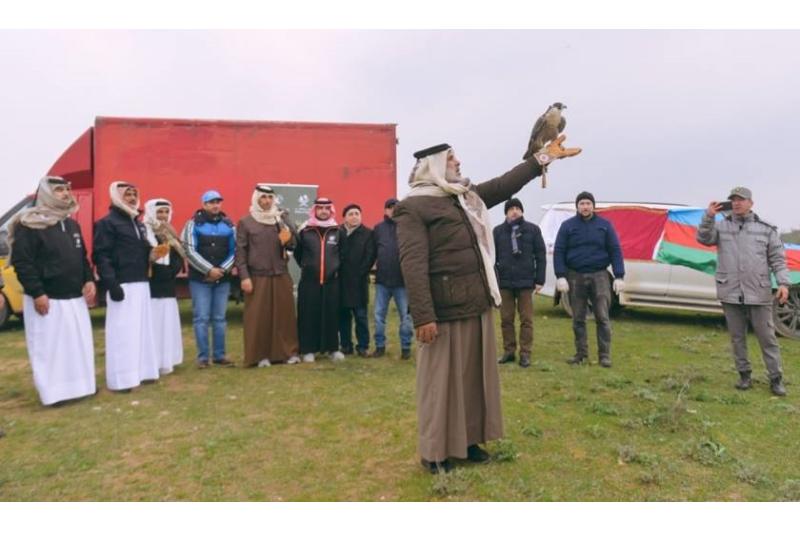 جمعية القناص القطرية تختتم الحملة السادسة لإرجاع الصقور إلى الطبيعة