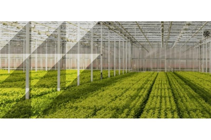 23.3 مليار دولار الاستثمار السنوي  في التكنولوجيا الزراعية بقطر