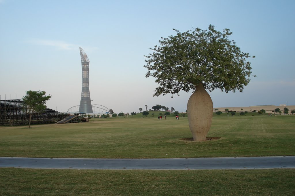 لوسيل