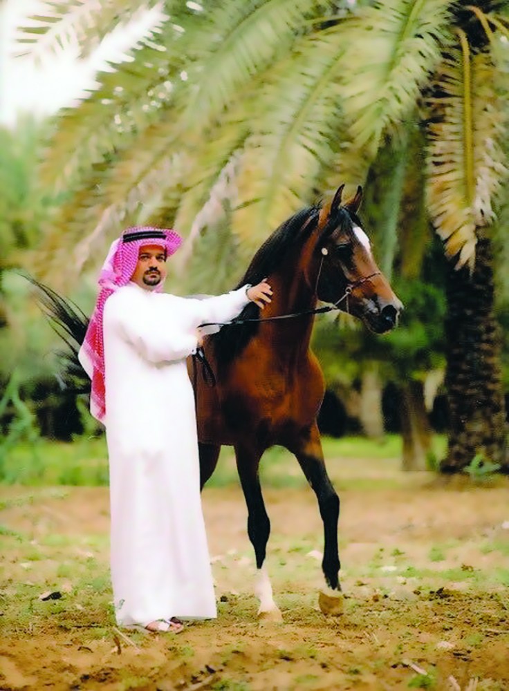 لوسيل