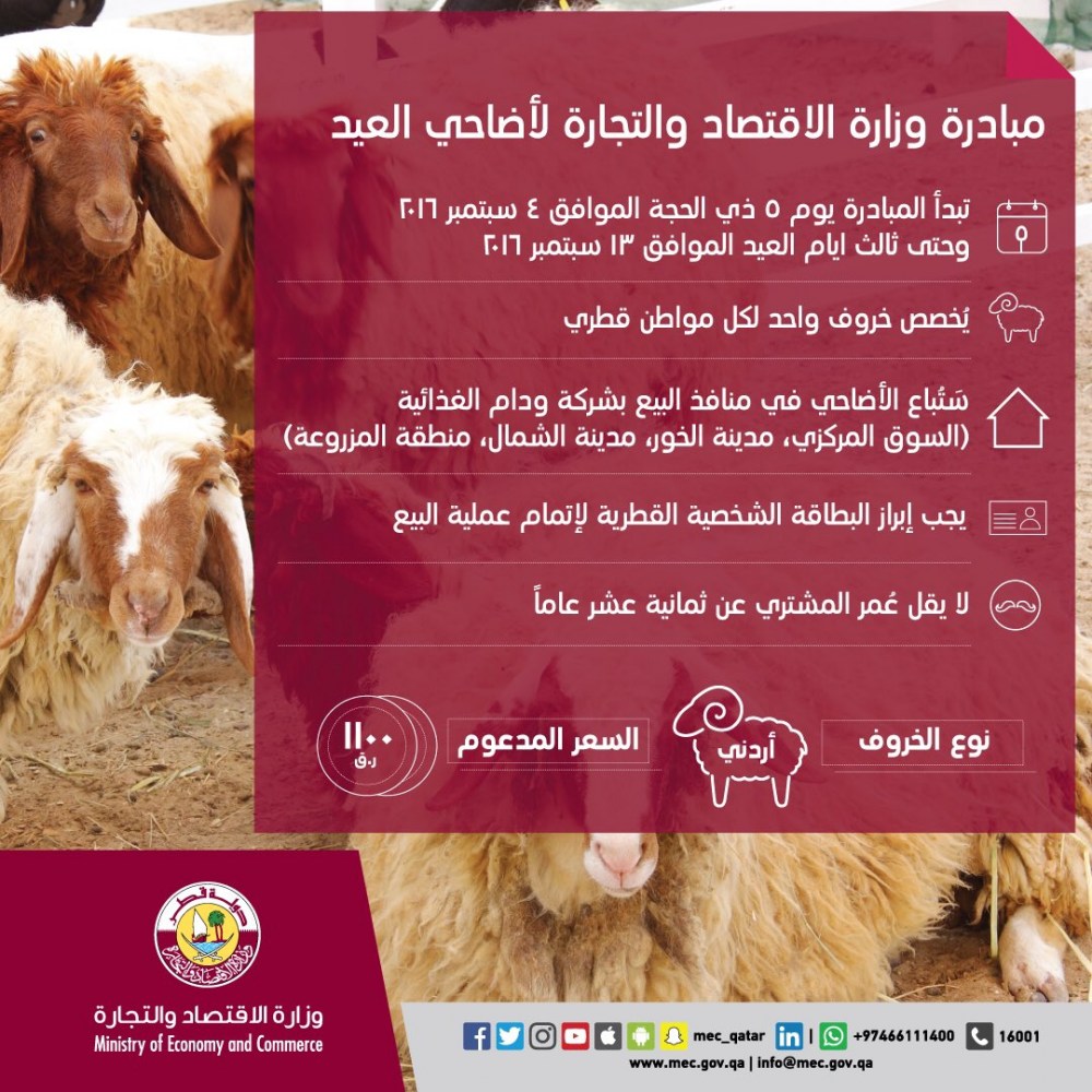 لوسيل