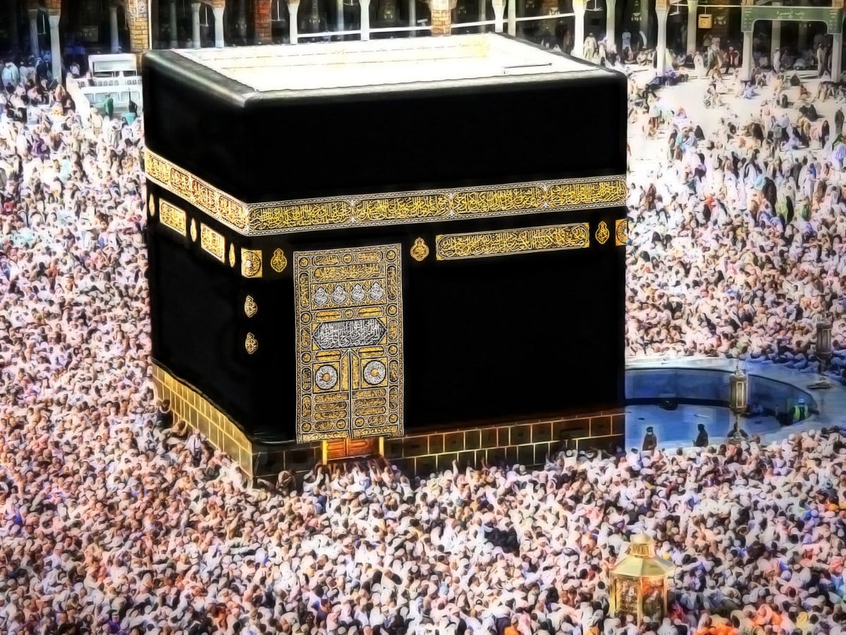 لوسيل