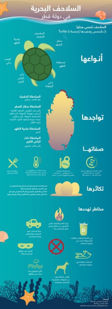 لوسيل