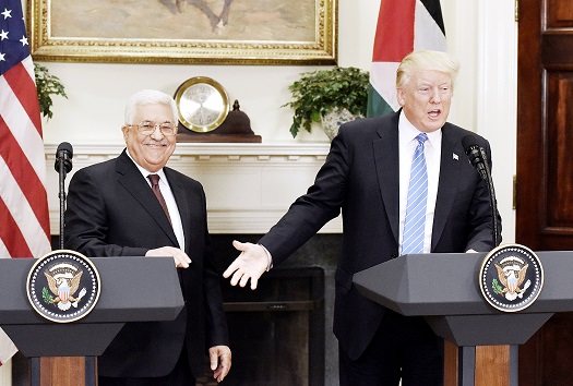 لوسيل
