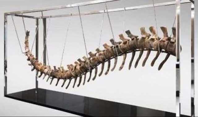 لوسيل