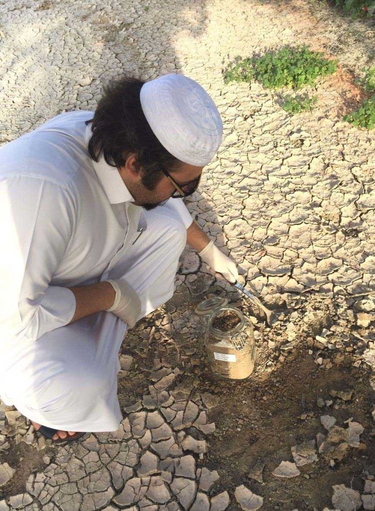لوسيل