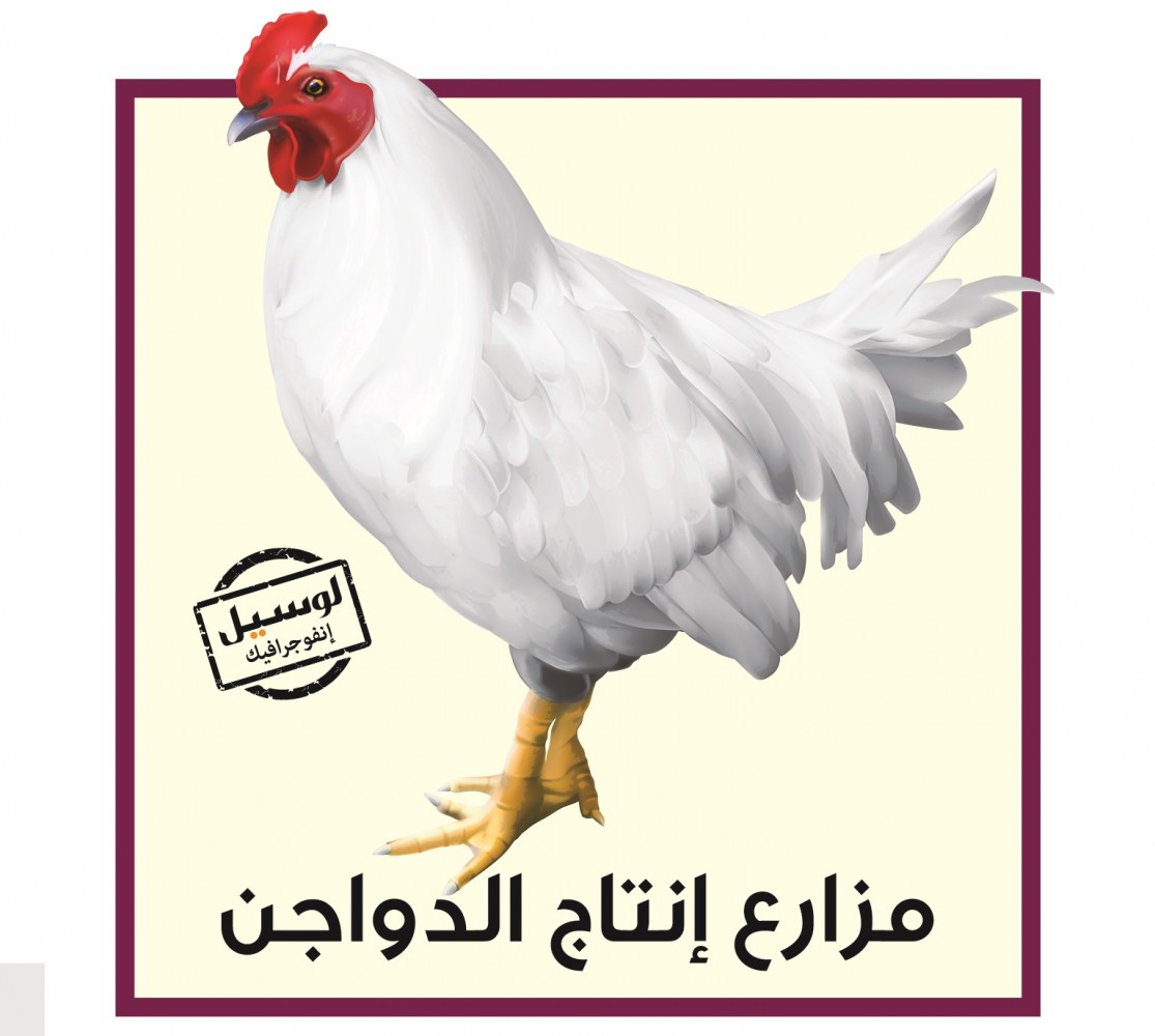 لوسيل