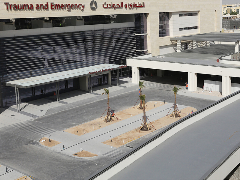 لوسيل