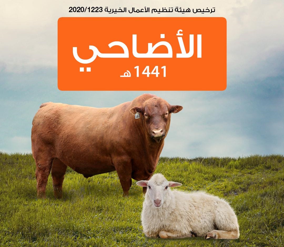 لوسيل