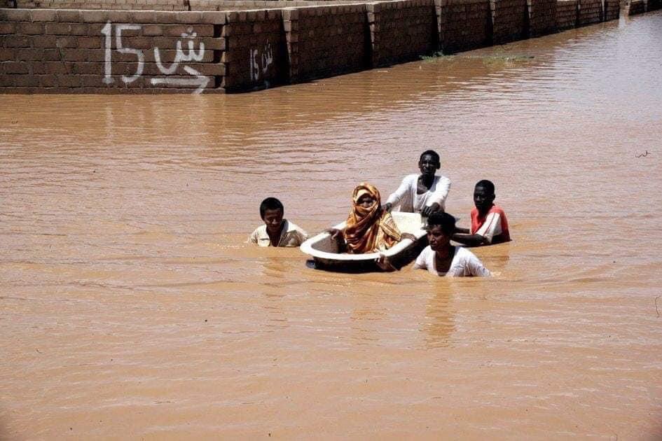 لوسيل