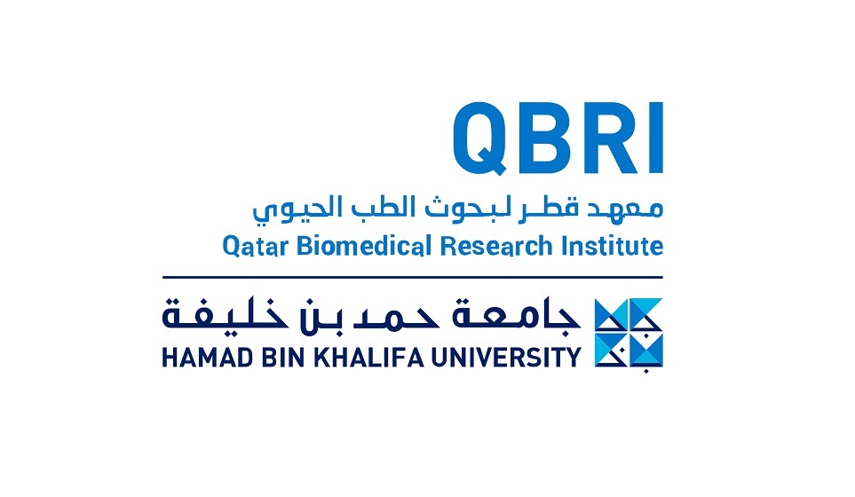 لوسيل