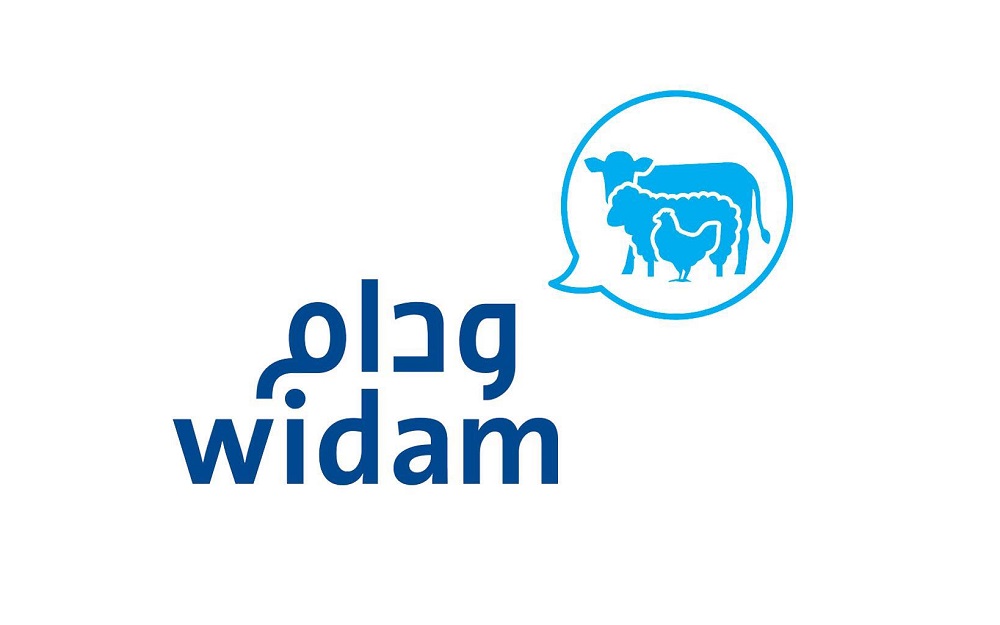 لوسيل