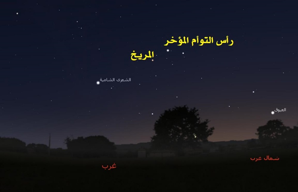 لوسيل