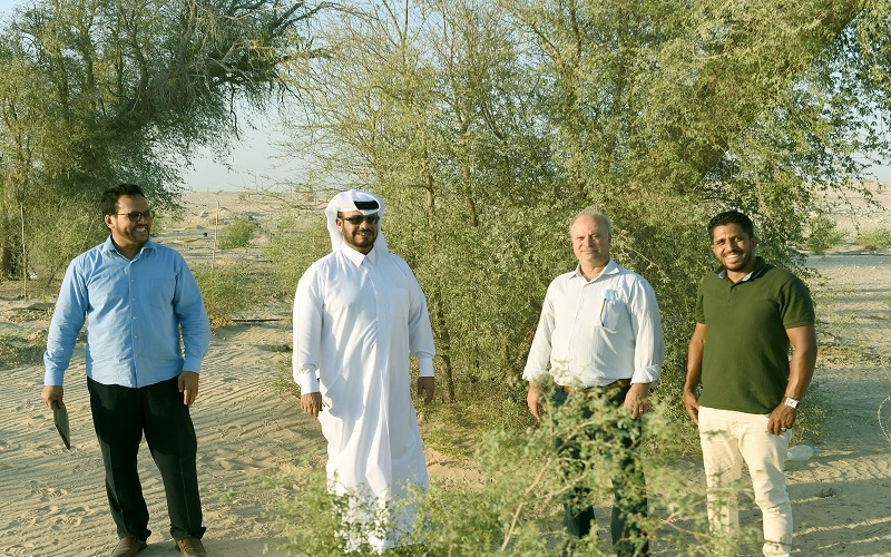 لوسيل