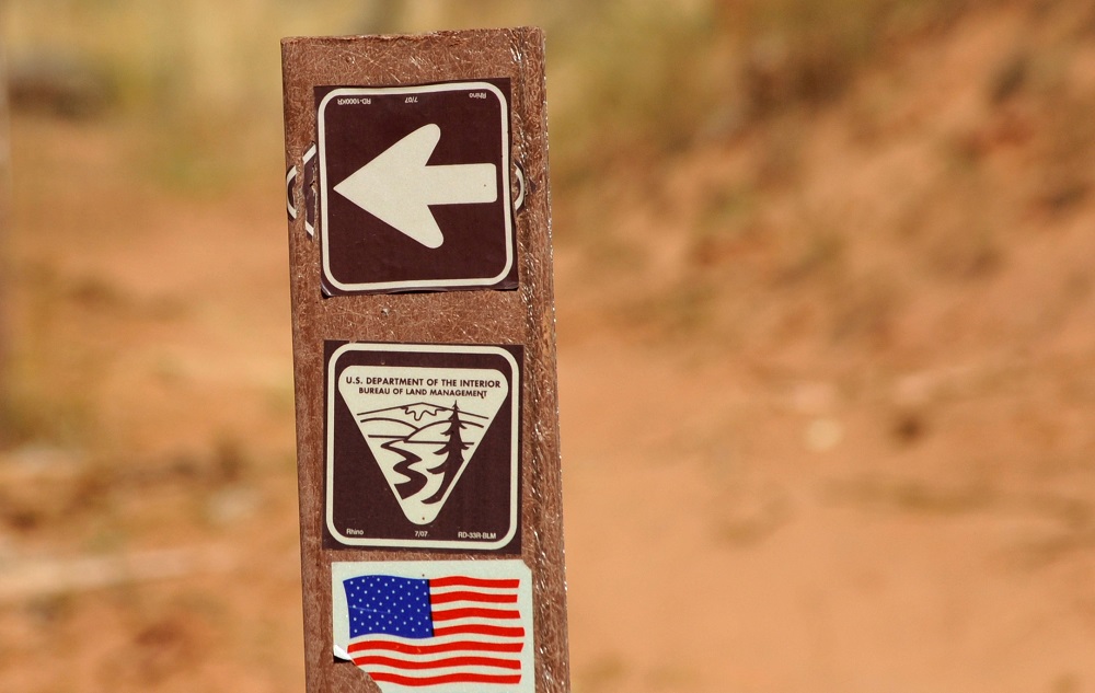 لوسيل