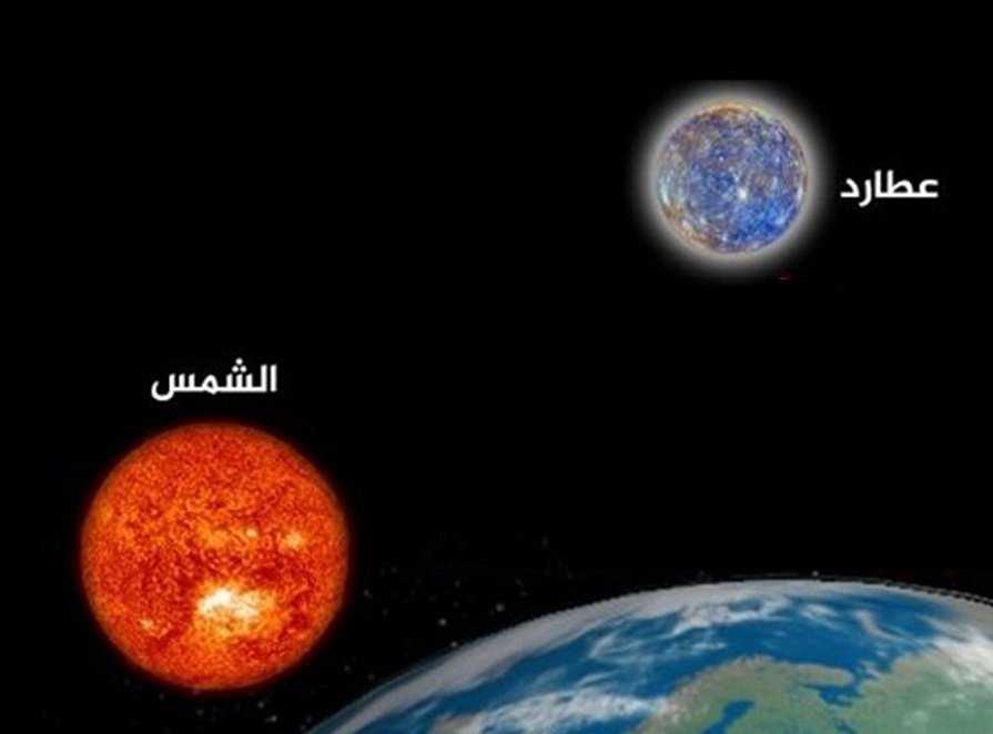 لوسيل