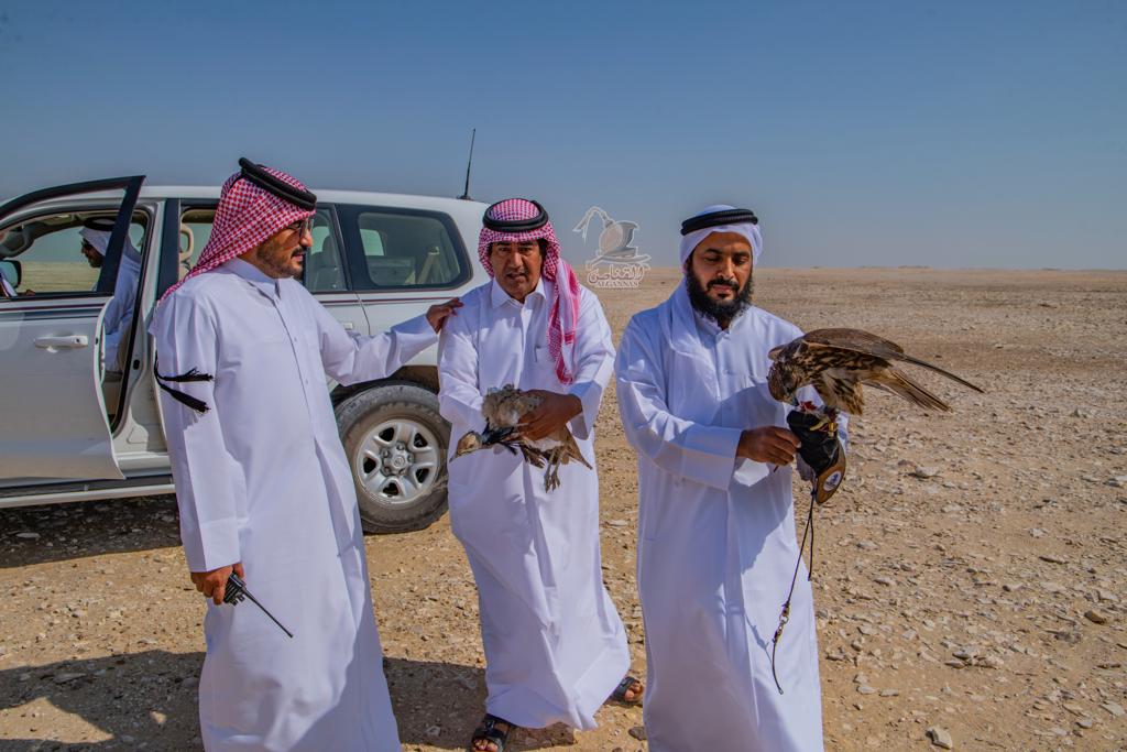 لوسيل