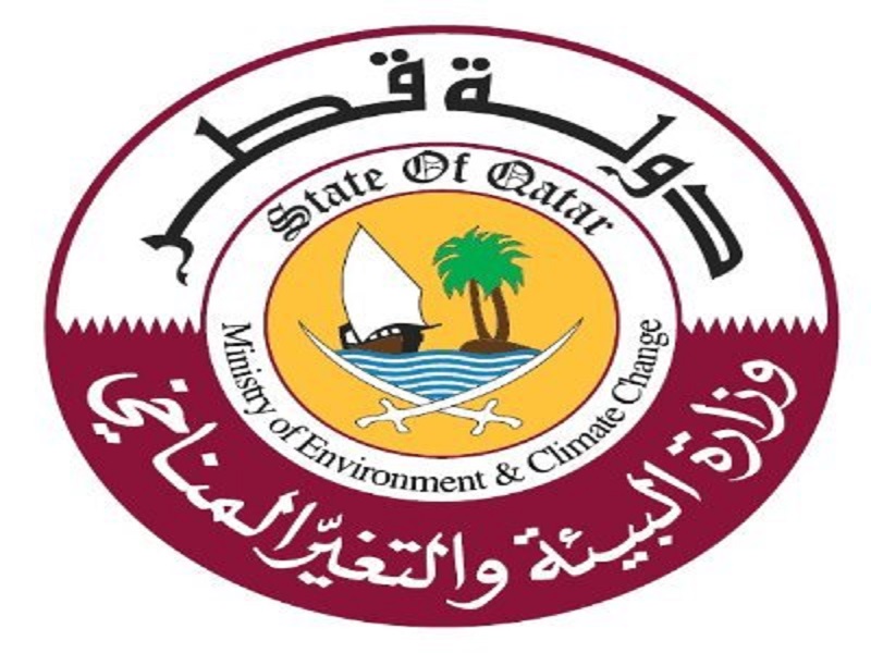لوسيل