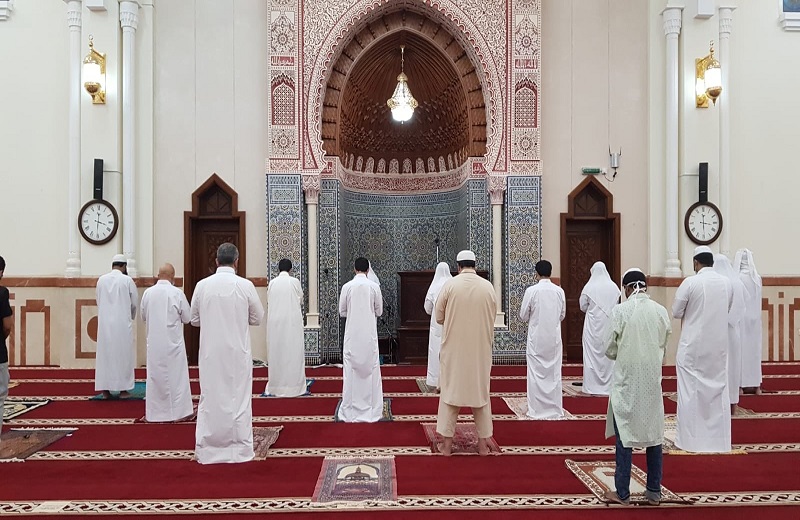 لوسيل