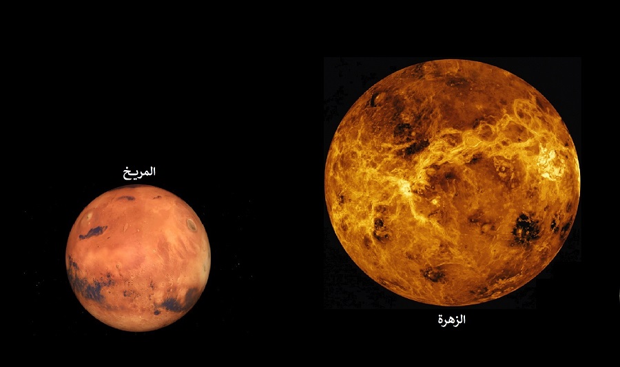 لوسيل